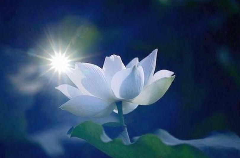 Ekadașhi, purificarea în unison cu Fazele Lunii.