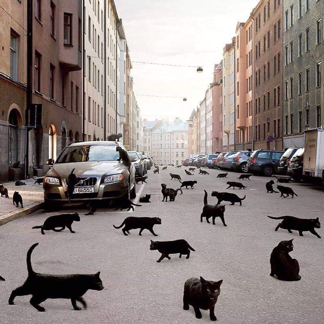 Calendarul Lunii fără direcție. Octombrie 2021.