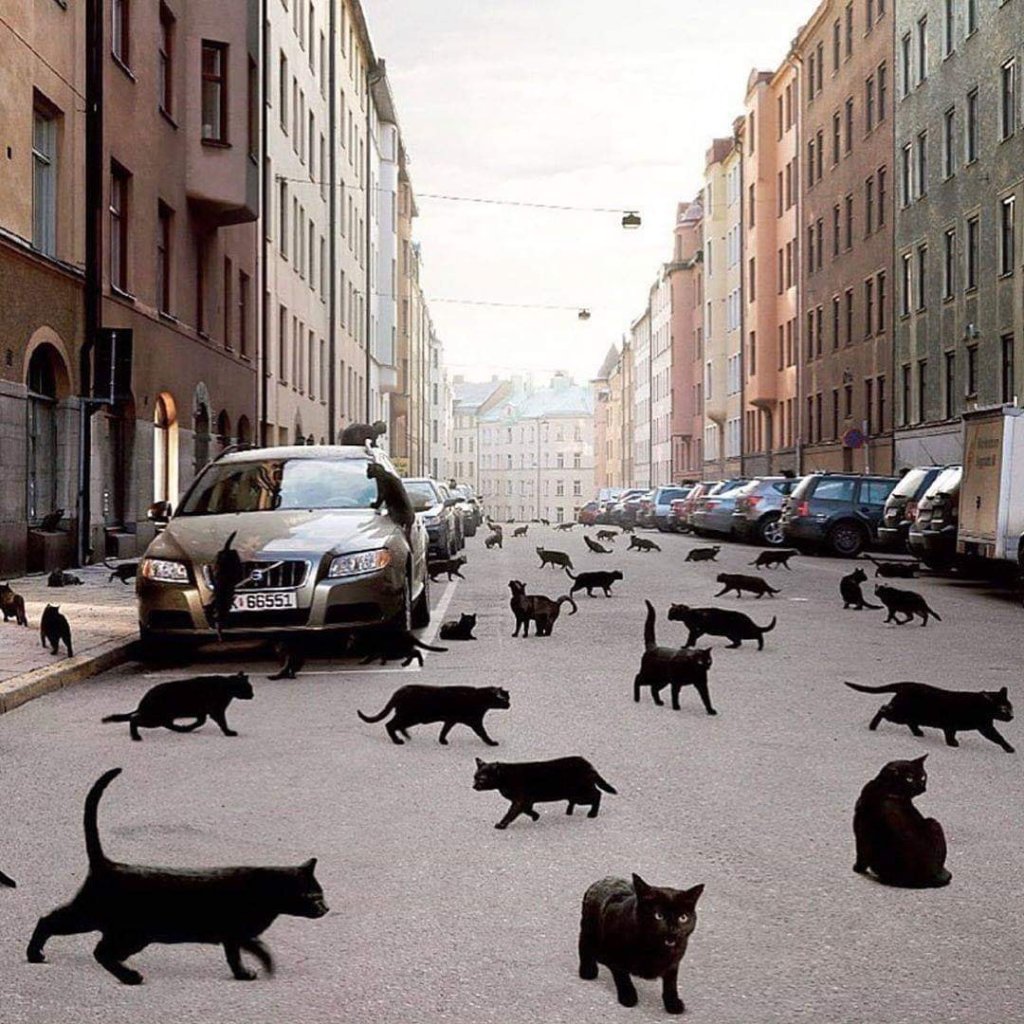 Calendarul Lunii fără direcție. Octombrie&nbsp;2021.