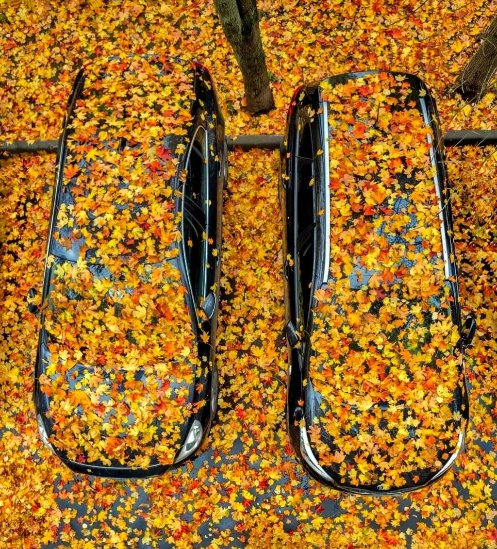 Previziuni astro-energetice pentru week-end, 13 și 14 noiembrie&nbsp;2021