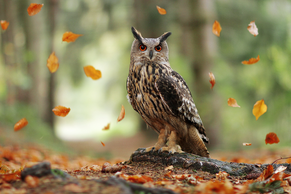 Previziuni astro-energetice pentru miercuri, 10 noiembrie&nbsp;2021