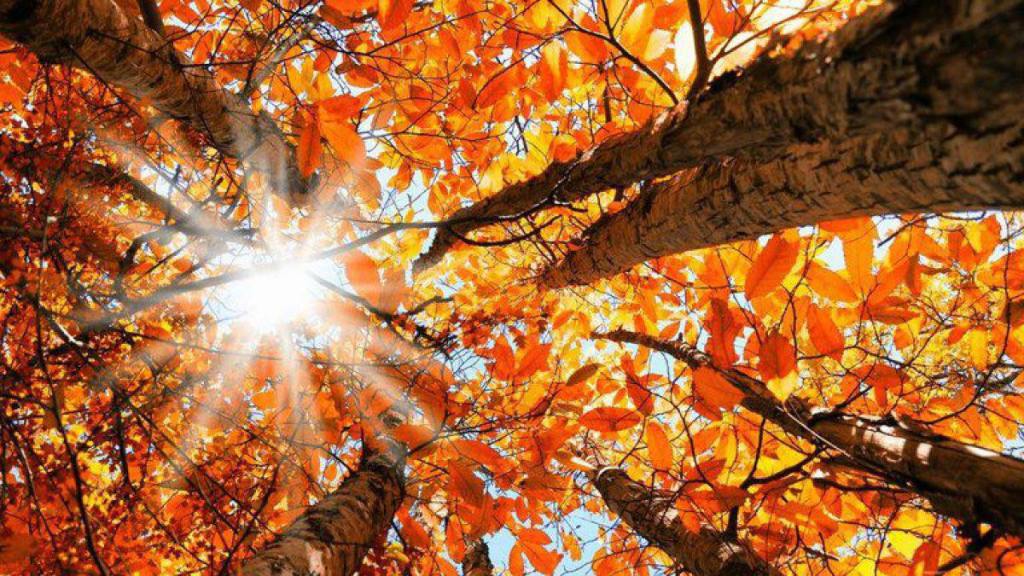 Previziuni astro-energetice pentru marți, 9 noiembrie&nbsp;2021