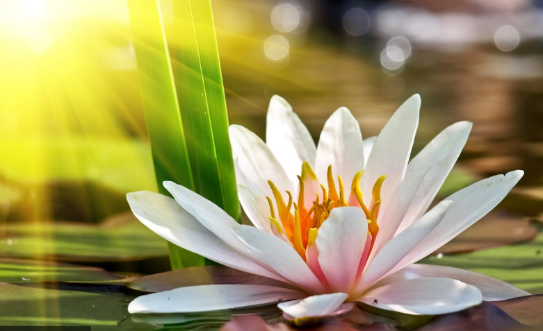 Previziuni astro-energetice pentru joi, 2 decembrie 2021