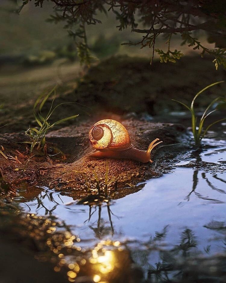 Protejat: Previziuni astro-energetice pentru sâmbătă, 15 ianuarie&nbsp;2021