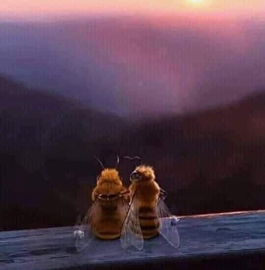 Previziuni astro-energetice pentru vineri, 18 februarie&nbsp;2022