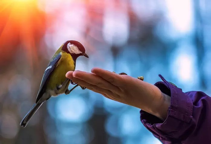 Protejat: Previziuni astro-energetice pentru vineri, 11 martie&nbsp;2022