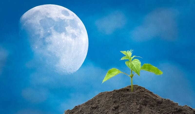 Luna Plină a Semințelor, a Furtunii și a Viermelui. Previziuni pentru 18 martie&nbsp;2022