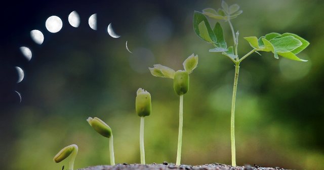 Protejat: Previziuni astro-energetice pentru week-end, 19-20 martie&nbsp;2022