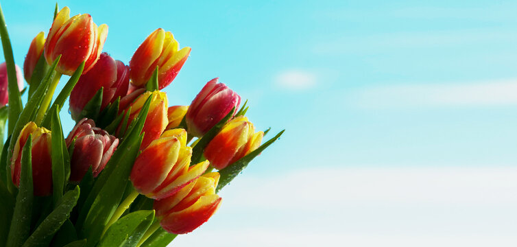 Protejat: Calendarul Lunii fără direcție pentru Mai&nbsp;2022