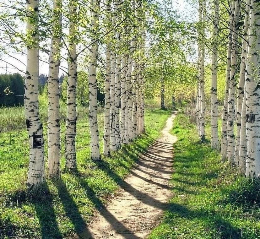 Astro-povestea săptămânii 31 martie-6 aprilie&nbsp;2025