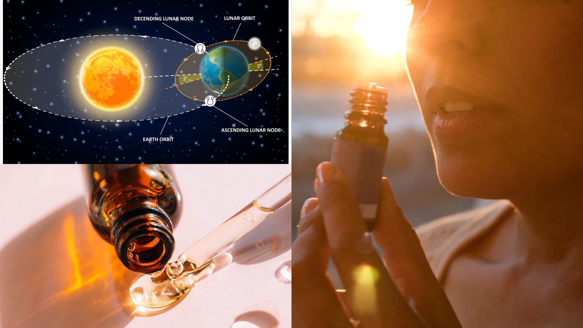 Protejat: Partea a 6-a. Uleiuri esențiale – ajutor în Misiunea Personală, indicată de Nodurile Lunare.