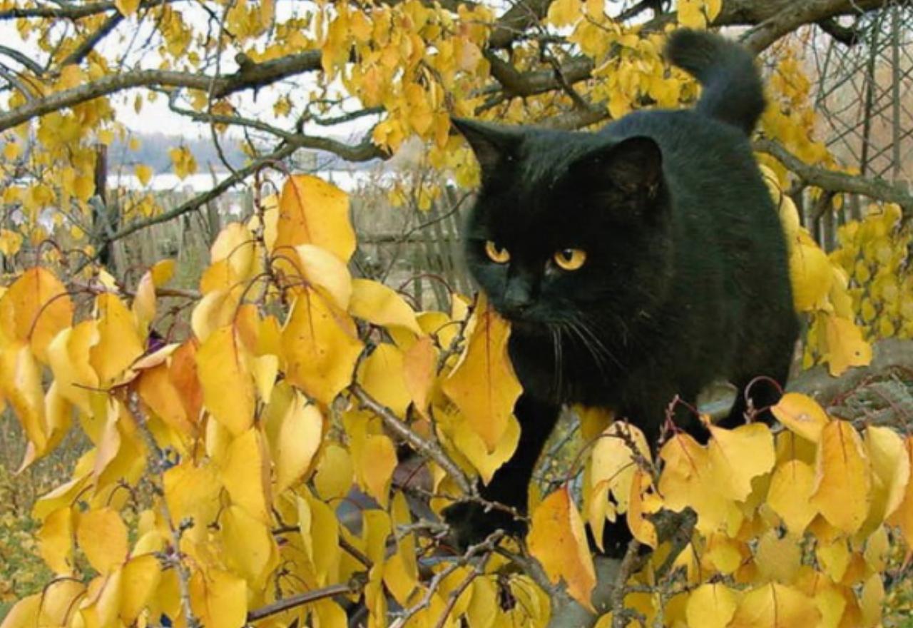 Povestea săptămânii 20-26 octombrie 2025