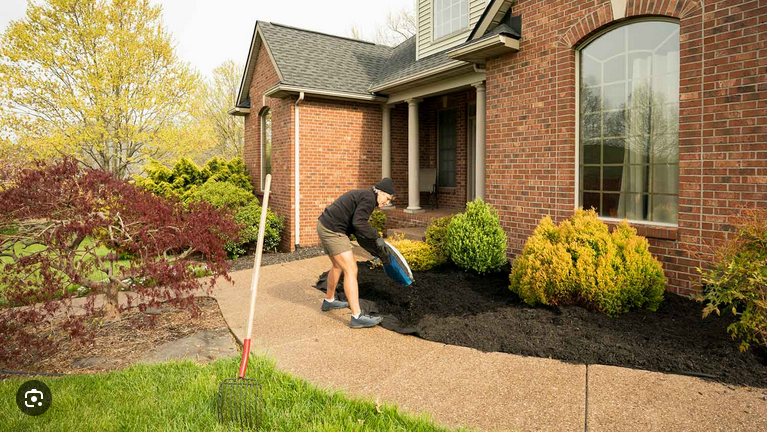 Protejat: Îngrijirea plantelor. ASTRO-CALENDAR NOIEMBRIE 2025. Partea 2.